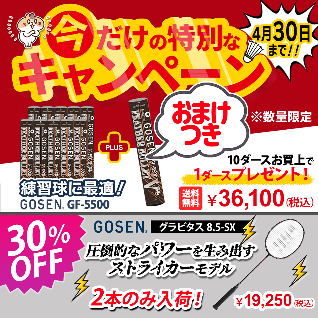 頑張らないバドミントン研究会