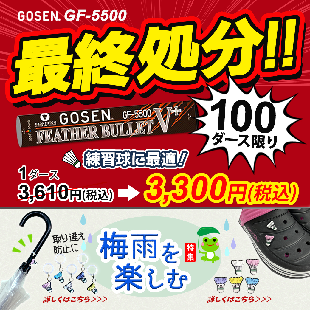 頑張らないバドミントン研究会