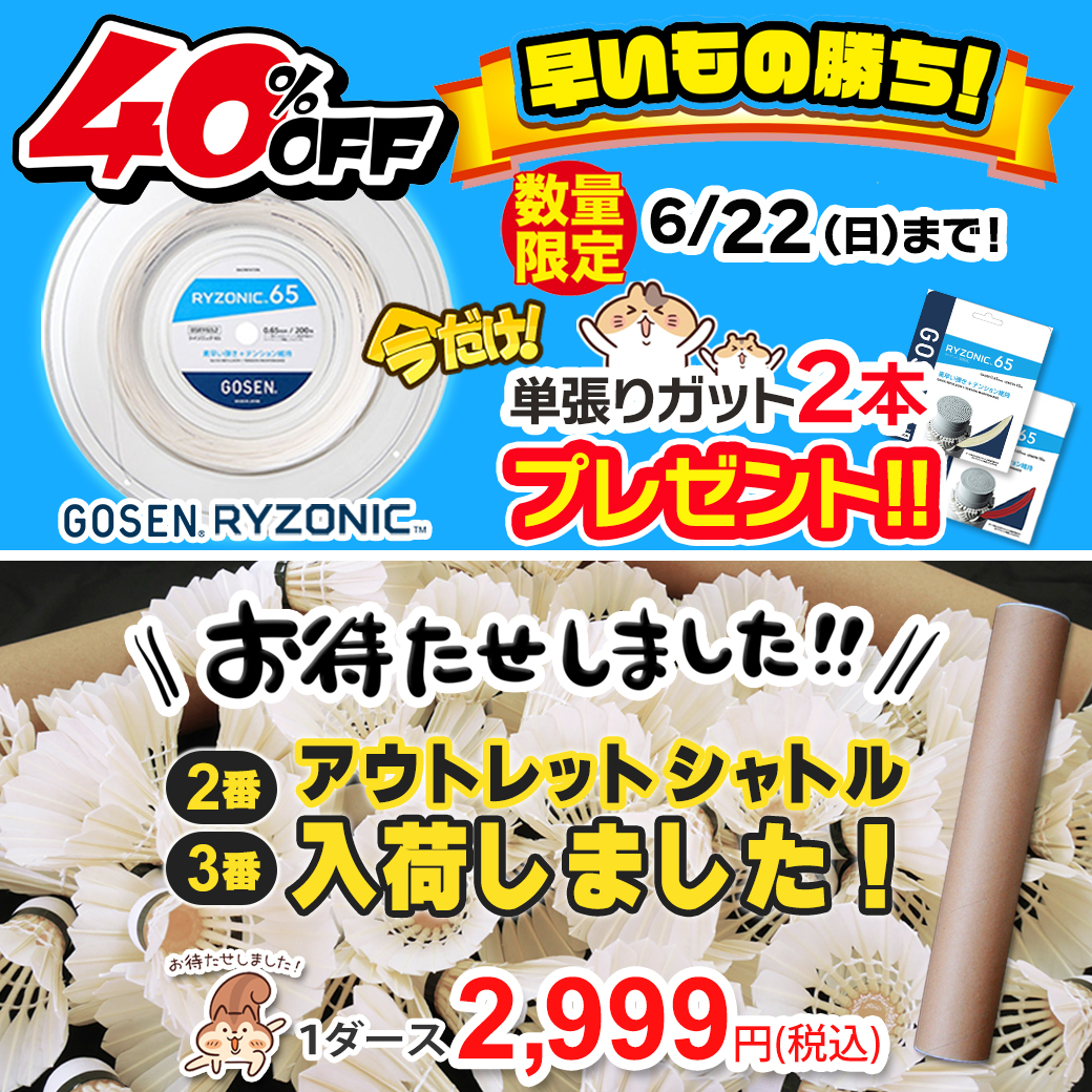 頑張らないバドミントン研究会