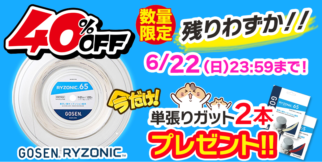 頑張らないバドミントン研究会