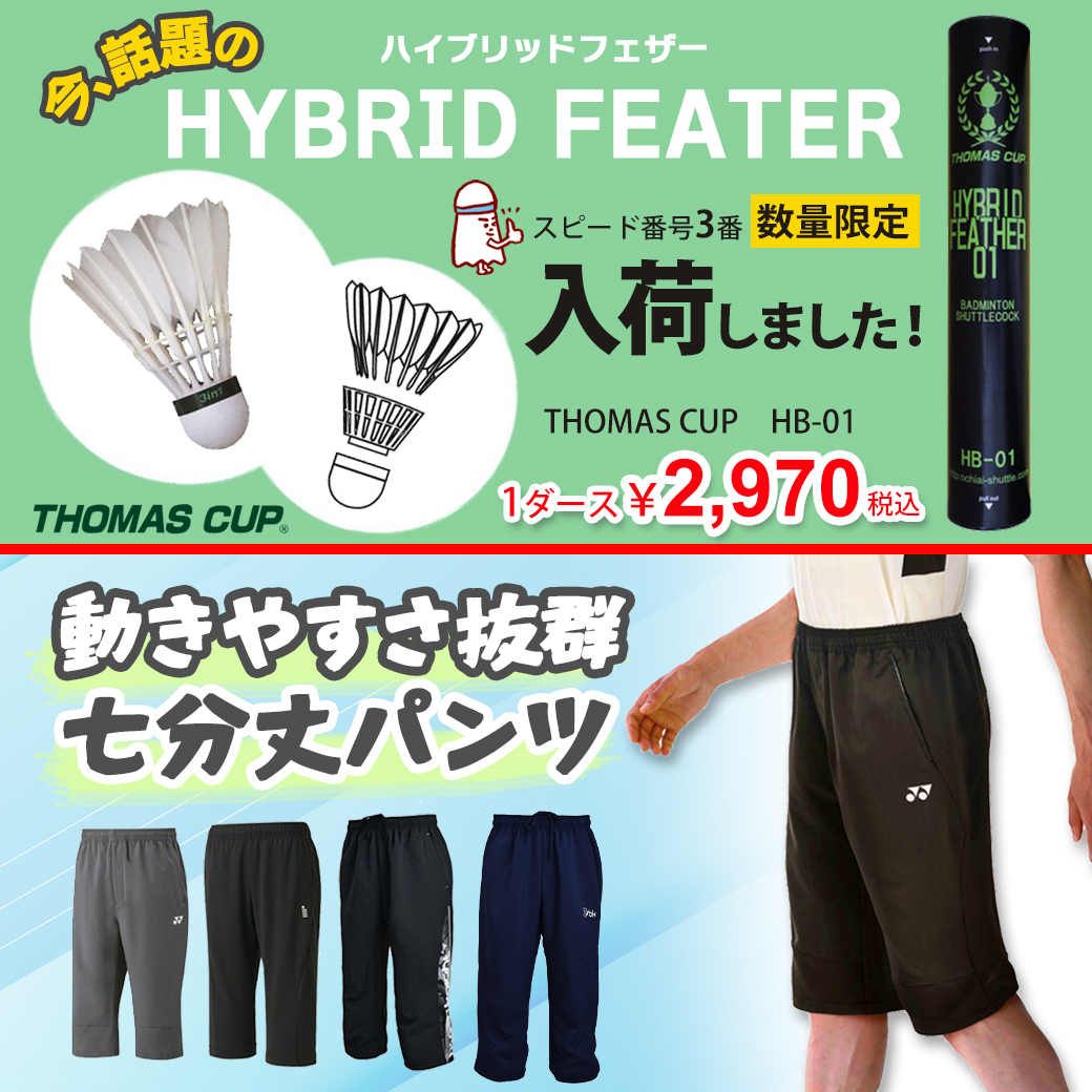 頑張らないバドミントン研究会