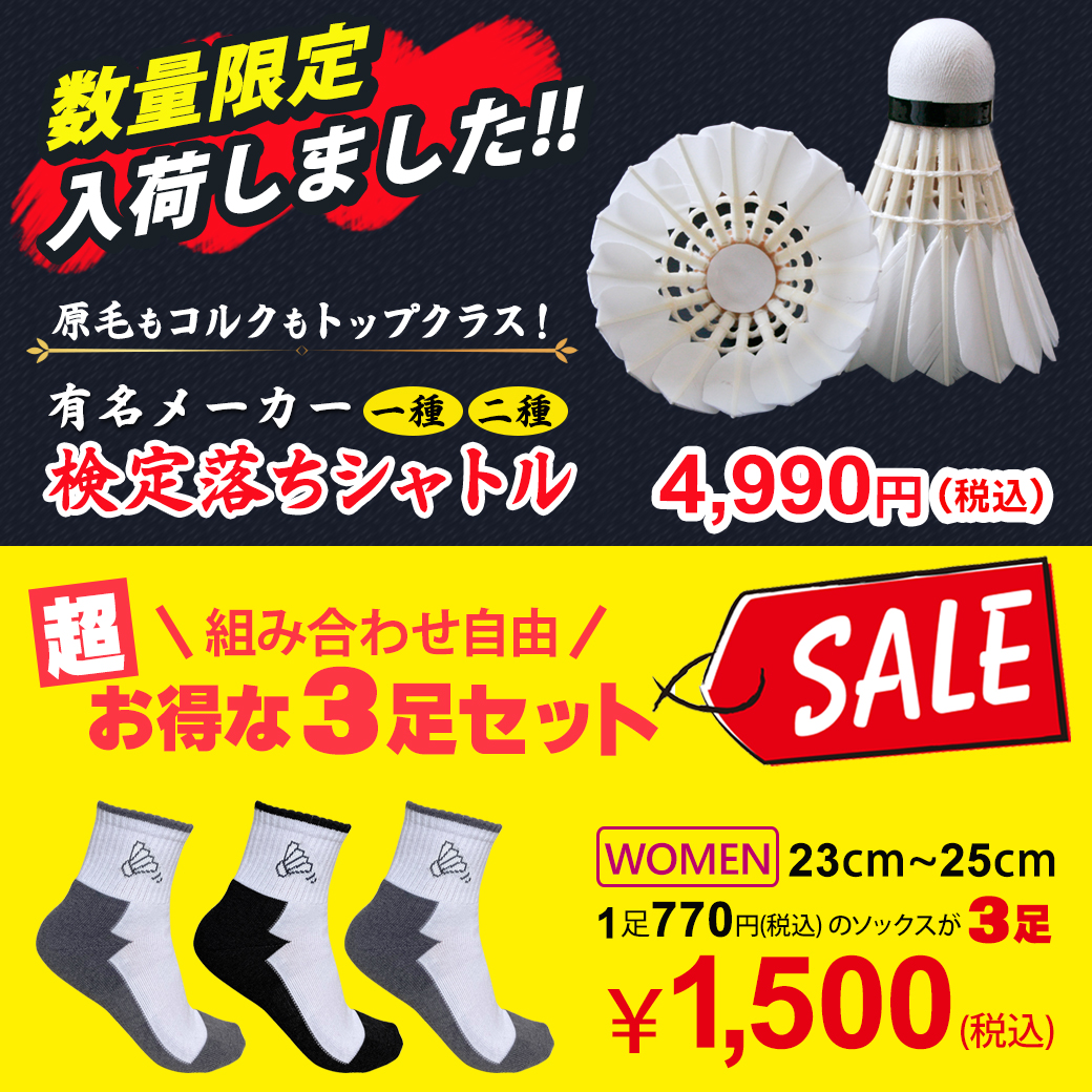 頑張らないバドミントン研究会