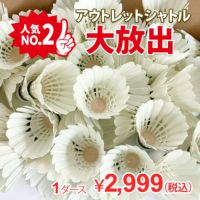 着後レビューでプレゼント！ 【頑張らないバドミントン研究会オリジナル】バドミントン　アウトレットシャトル