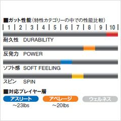 バドミントンガット R4X TSUYOSHI（ツヨシ）240mロール [GOSEN/ゴーセン][BS1602W][ホワイト]