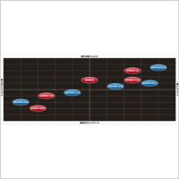 30％OFF】GOSEN バドミントンラケット INFERNO TOUCH インフェルノタッチ ゴーセン BRIFTC GOSEN