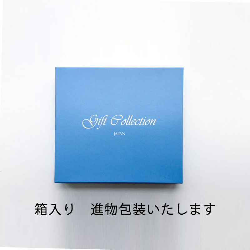 バドミントン ラケット形スプーン 5本セット 箱入り 新潟燕BRS-5-箱入り