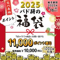 【送料無料】頑張らないバドミントン研究会で使える11,000円分のポイント福袋※おひとり様一点限り