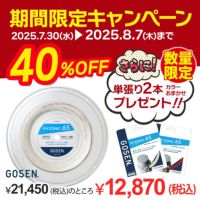 BSRY652 RYZONIC 65 ライゾニック65　ロールガット バドミントン　200m　ゴーセン　GOSEN