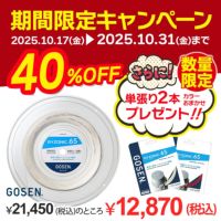 BSRY652 RYZONIC 65 ライゾニック65　ロールガット バドミントン　200m　ゴーセン　GOSEN