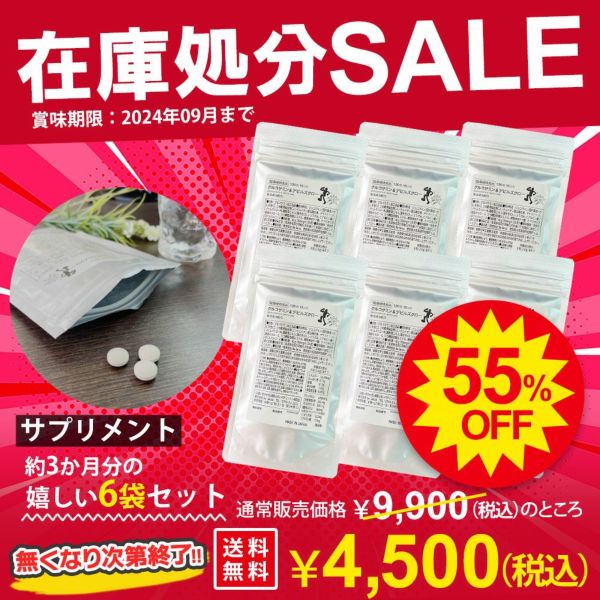 まだまだバドミントンを諦めたくない！そんなあなたへ 【在庫処分!!】【送料無料】【6袋】グルコサミン＆デビルズクロー【720粒・90日分】