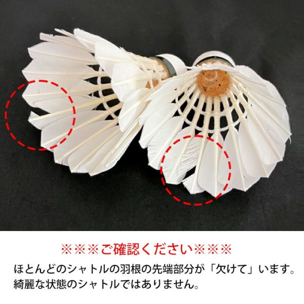 バドミントンシャトル B級品 羽根に欠けあり 数量限定